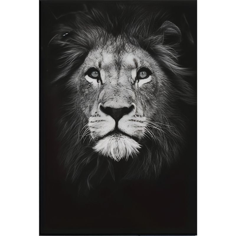 Tableau Lion Noir et Blanc