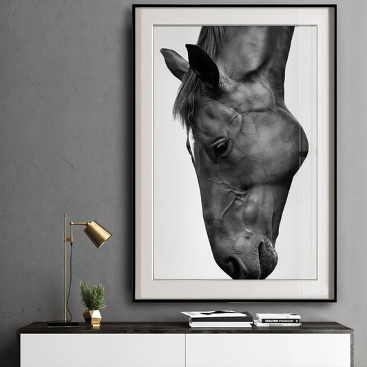 Tableau Cheval Noir et Blanc