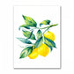 Tableau Citron toile déco mur